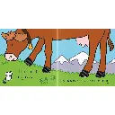 3.webp