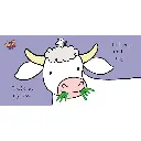 2.webp