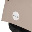8.webp