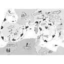 143.webp