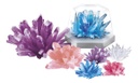 STEAM Deluxe Crystal Science