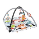 Fisher-Price 3-in-1 Music, Glow And Grow Gym