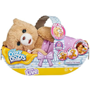 Little Live Pets Cozy Dozys Bear