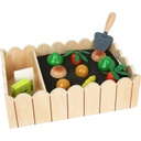 Vegetable Garden Playset 