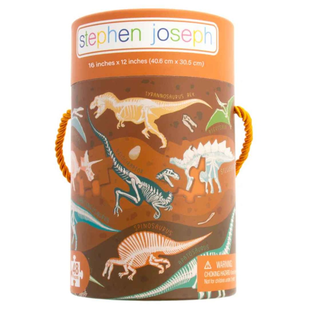 Canister Puzzle Fossil