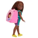 Barbie Chelsea Family & Friends Playtime Kitty Playset