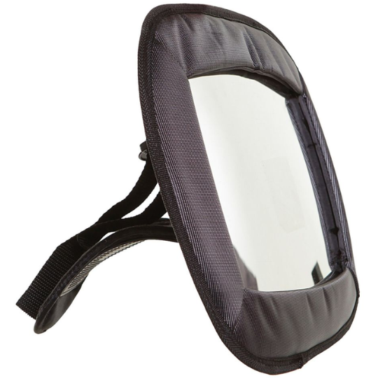 Backseat Mirror