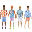 Barbie Ken Fashionista Assorted