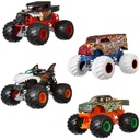 Hot Wheels Monster Trucks 1:24 Assorted