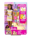 Barbie Doll & Puppies Playset AA
