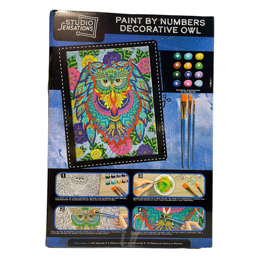 [171528-BB] Paint by Numbers Art Kit - Owl