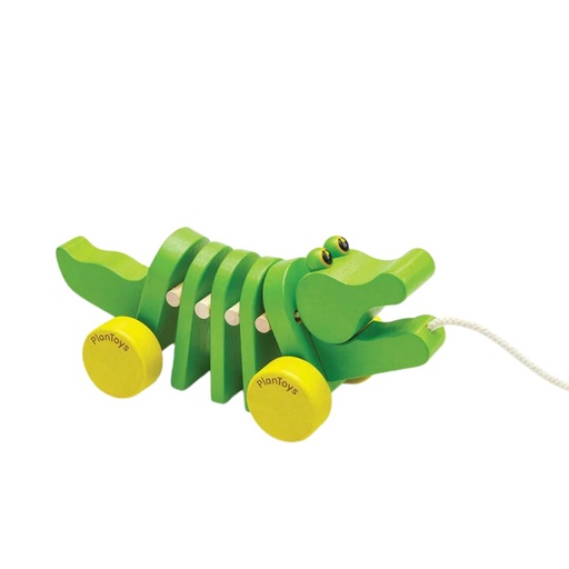 [175450-BB] Dancing Alligator