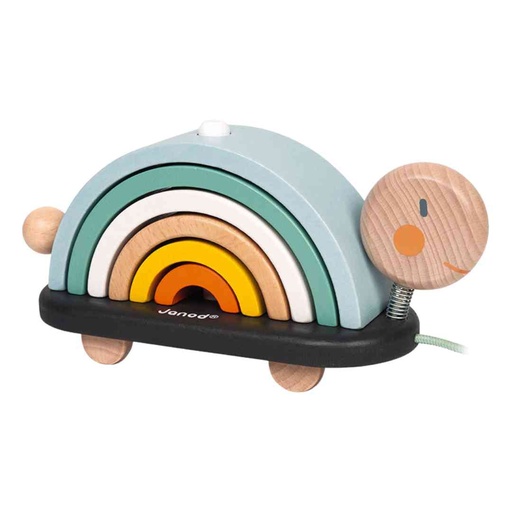 [175488-BB] Sweet Cocoon Rainbow Turtle