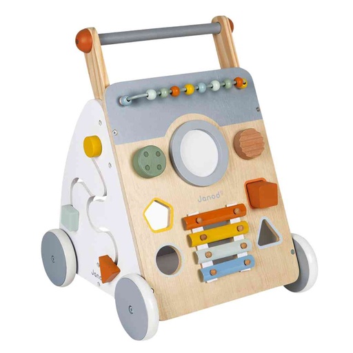 [175489-BB] Sweet Cocoon Multi Activity Baby Walker