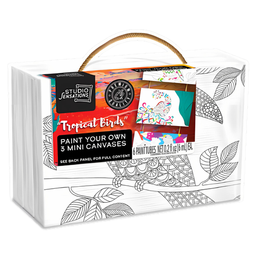 [176232-BB] Paint Your Own 3 Mini-Canvas Kit – Tropical Birds