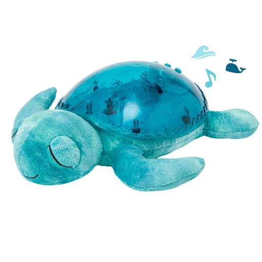 [178323-BB] Tranquil Turtle Aqua