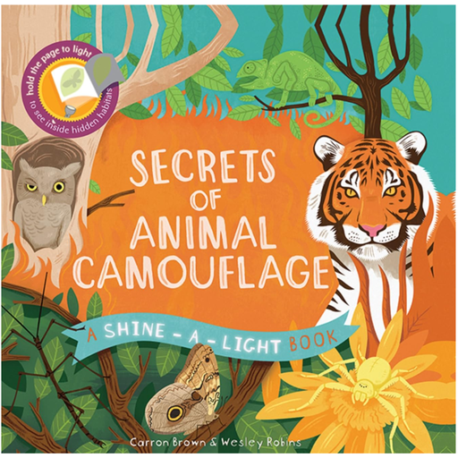 [178335-BB] Shine-A-Light Secrets of Animal Camouflage