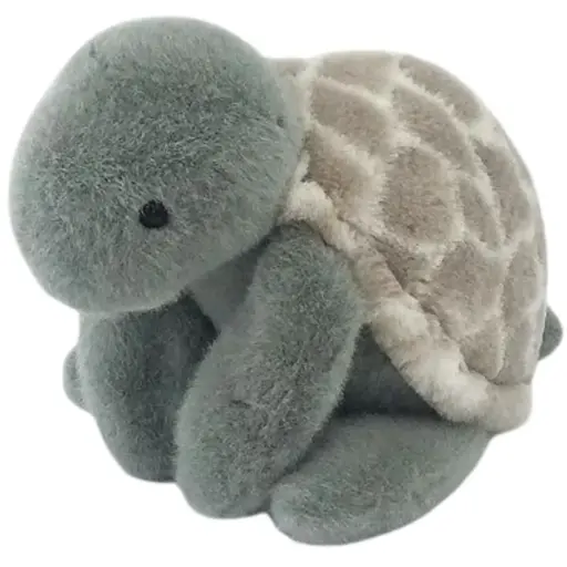 [180304-BB] Taylor Cuddle Turtle