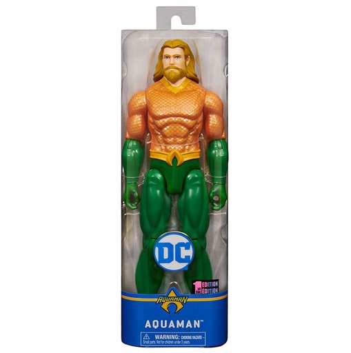 [161906-BB] DC Action Figure 12in Assorted