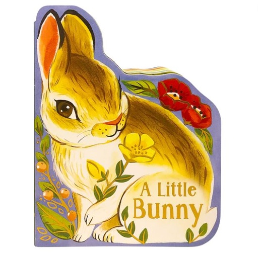 [164859-BB] A Little Bunny