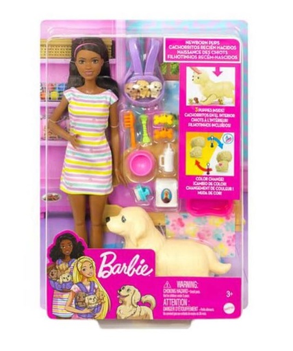 [167753-BB] Barbie Doll & Puppies Playset AA