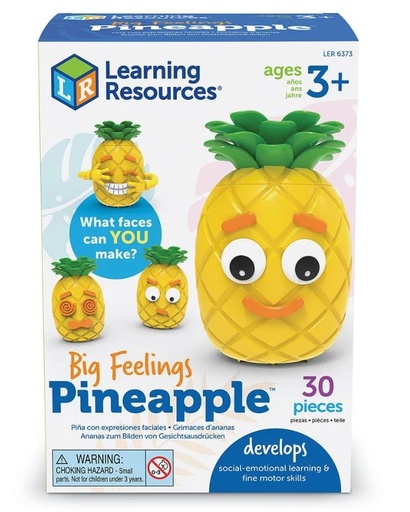 [168299-BB] Big Feelings Pineapple